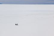 Salt Flats (II)