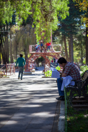 Studying in the Park