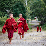 Young Monks