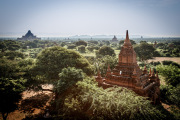 Field of Temples