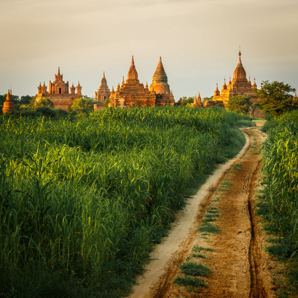 Road to the Temples