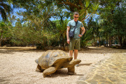 Giant Tortoise 1