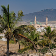 Oman-002-Taqa-Palms-and-Mosque