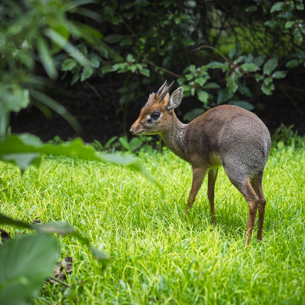 Tanzania-01