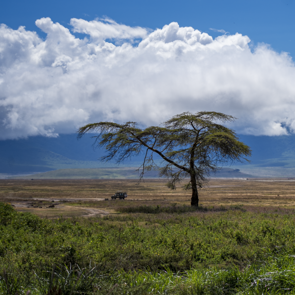 Tanzania-26