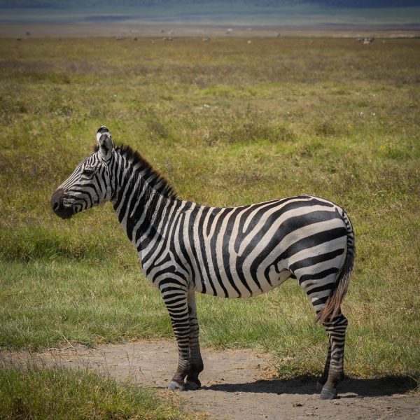 Tanzania-31