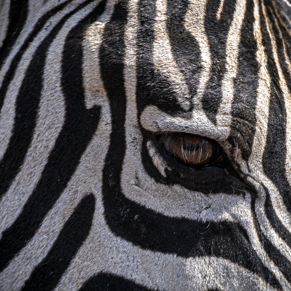Tanzania-34