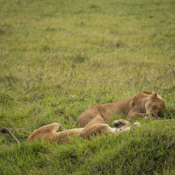 Tanzania-36
