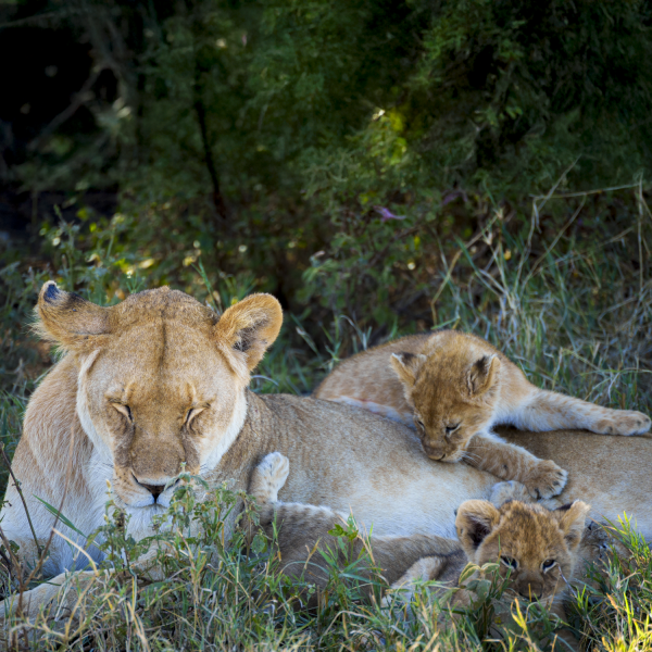 Tanzania-42