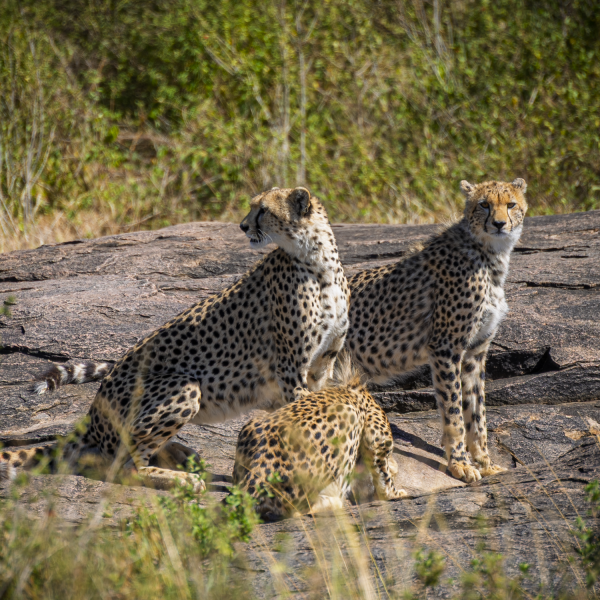 Tanzania-43