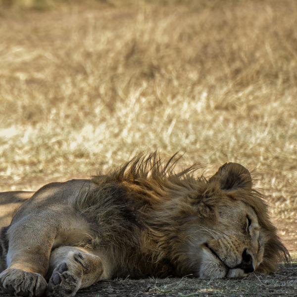 Tanzania-45