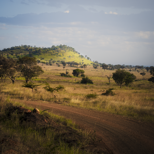 Tanzania-59