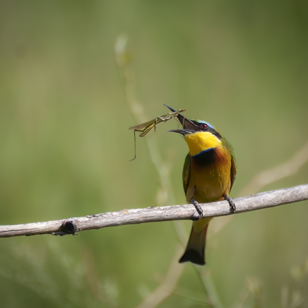 Tanzania-63
