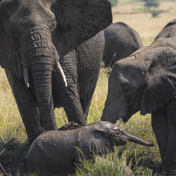 Tanzania-65