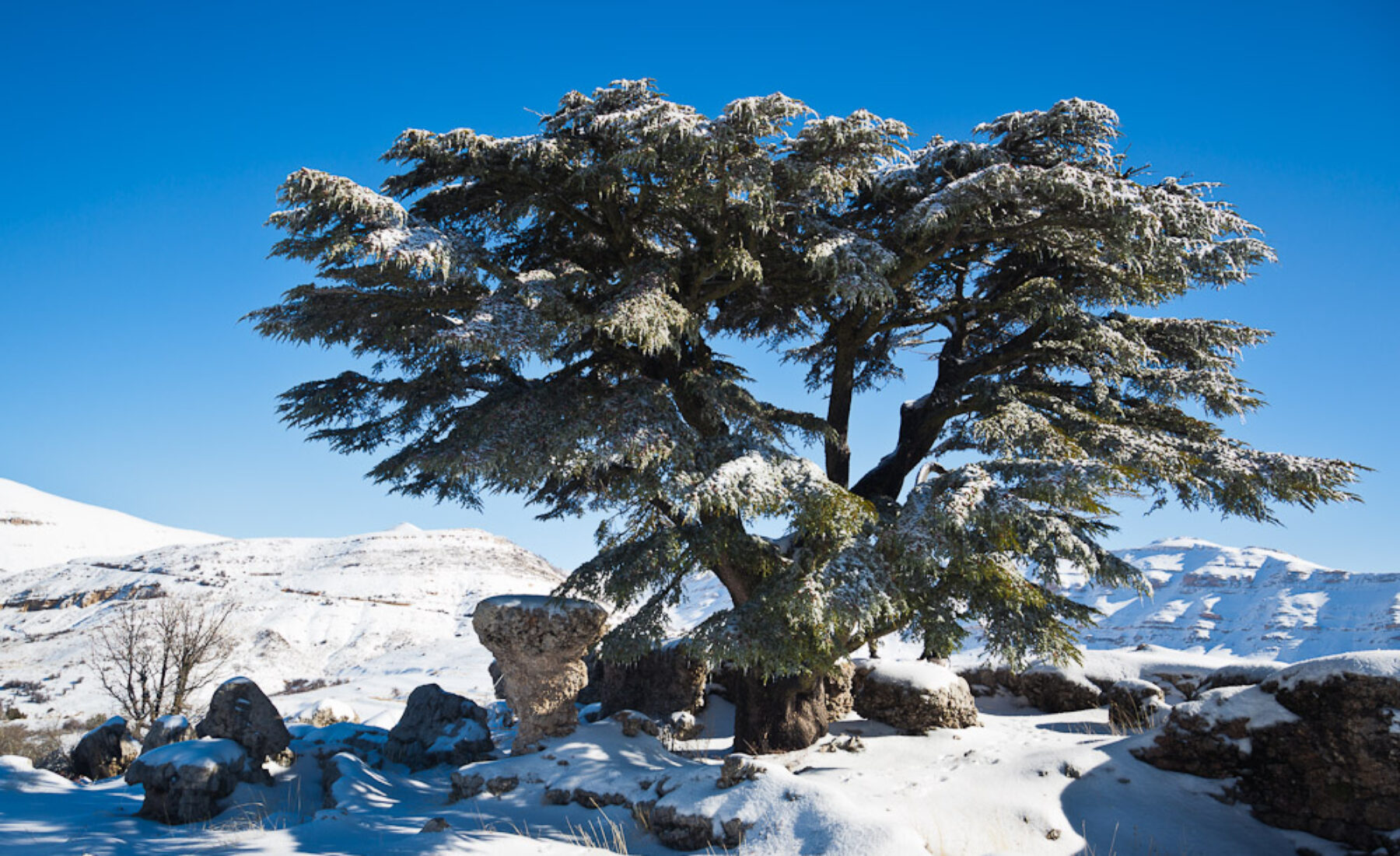 Lebanon