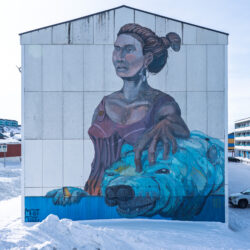 Artist Guido van Helten