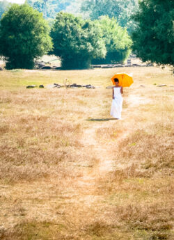 Bride at Angkor Wat