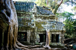 Ta Prohm 1