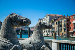 Stone Horses