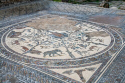 Volubilis Mosaic