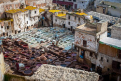 The Tannery