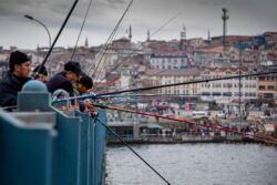 Fishing from the Bridge