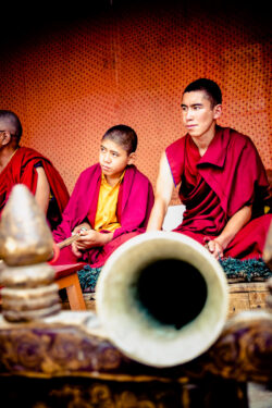 Young Monks