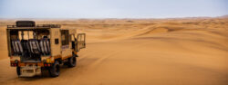 The Desert Before Us