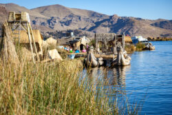 Reed Boats