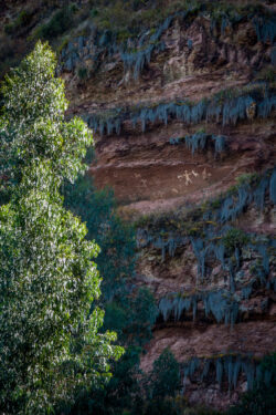 Rock Paintings