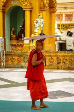Monk with Umbrella