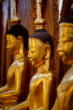 Buddha Statues