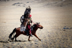 Rider and Eagle