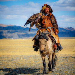 An Eagle Hunter Arrives