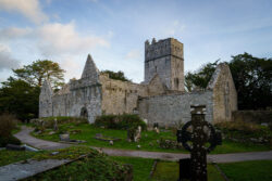 Muckross Abbey