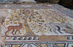 Heraclea Mosaics 2