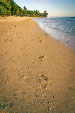 Footsteps in the sand