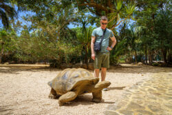 Giant Tortoise 1