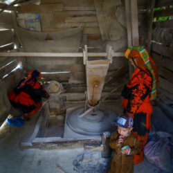 Milling Wheat