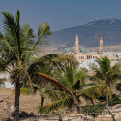 Oman-002-Taqa-Palms-and-Mosque
