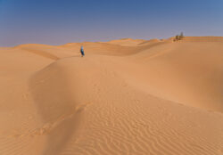 Oman-009-Into-The-Desert