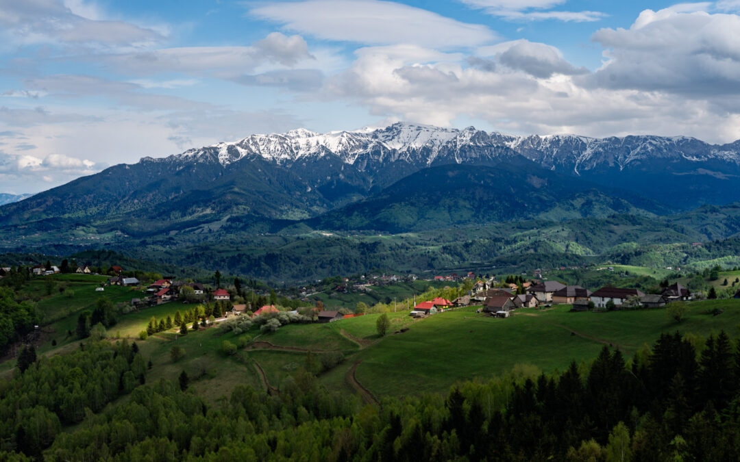 Romania Diary